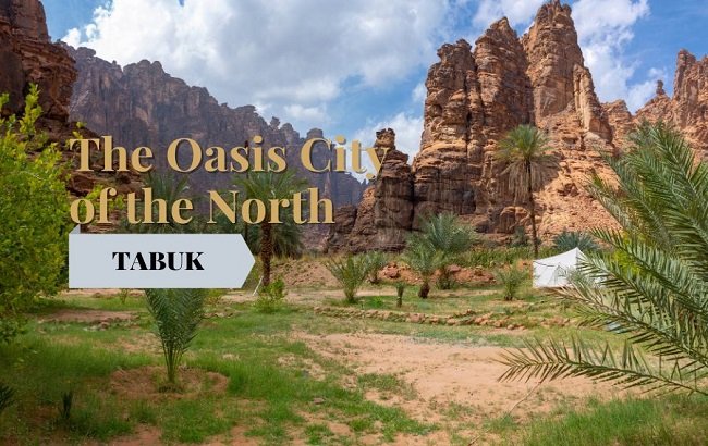 the oasis of the north